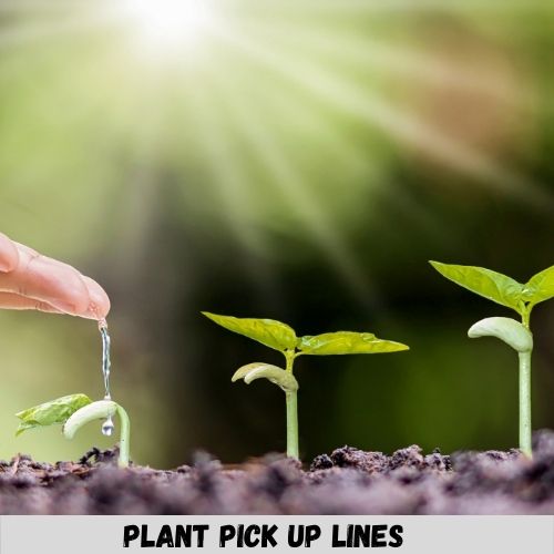 plant pick up lines