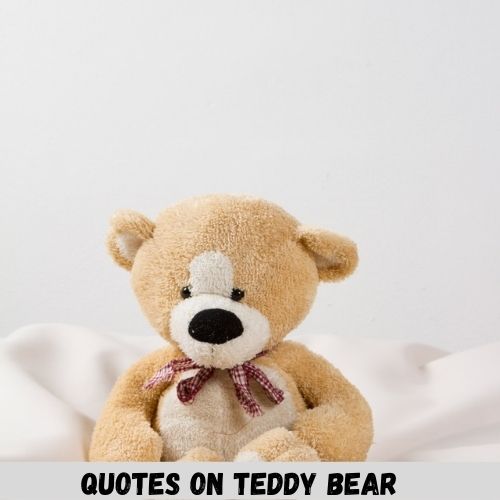 quotes on teddy bear