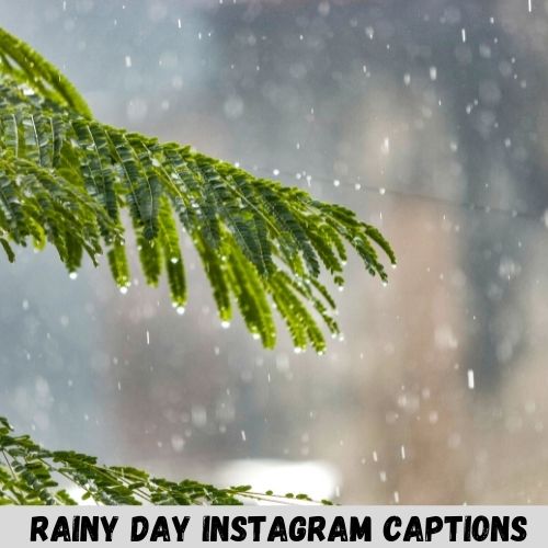rainy day instagram captions