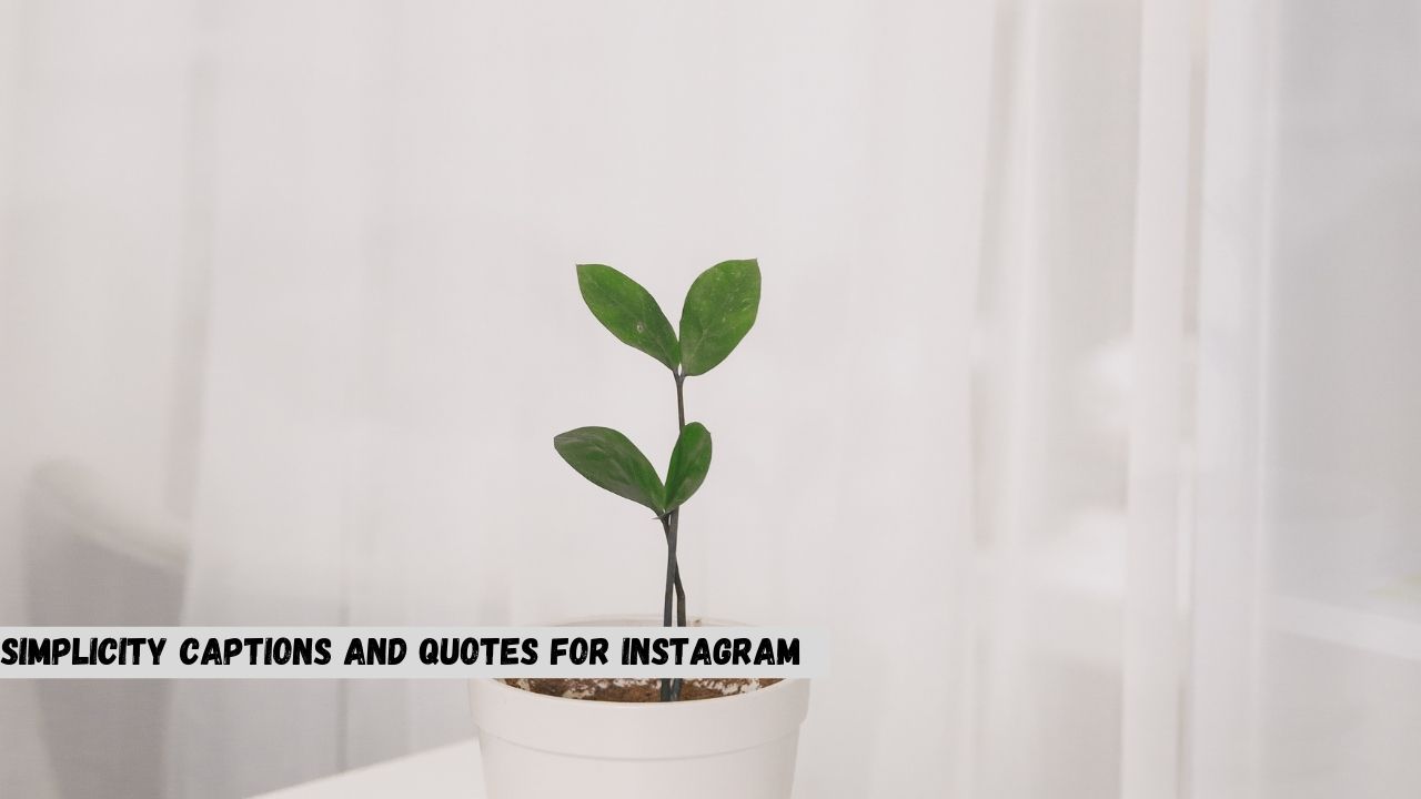 Simplicity Quotes For Instagram