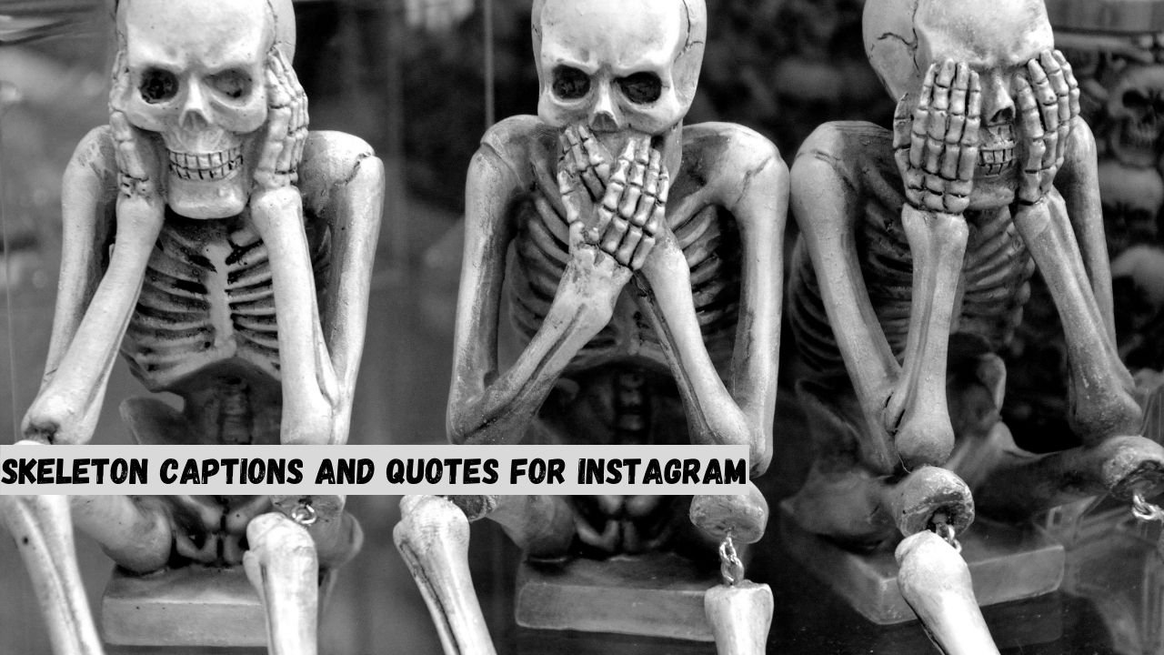 skeleton captions