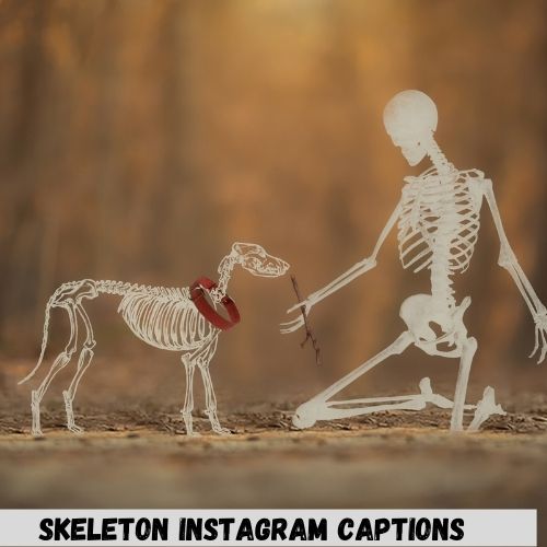 Skeleton Instagram Captions