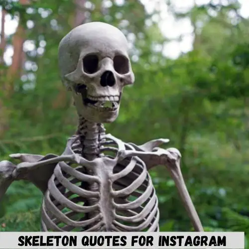 Skeleton Quotes For Instagram
