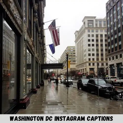 Washington DC Instagram Captions