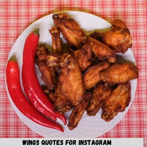 Wings Quotes for Instagram