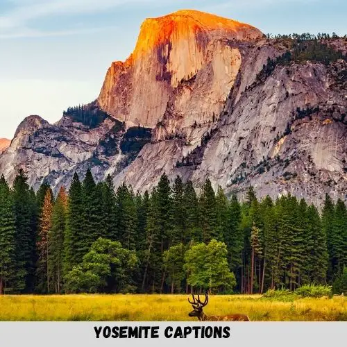 Yosemite Captions