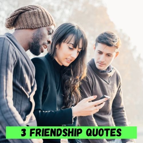 3 Friendship Quotes