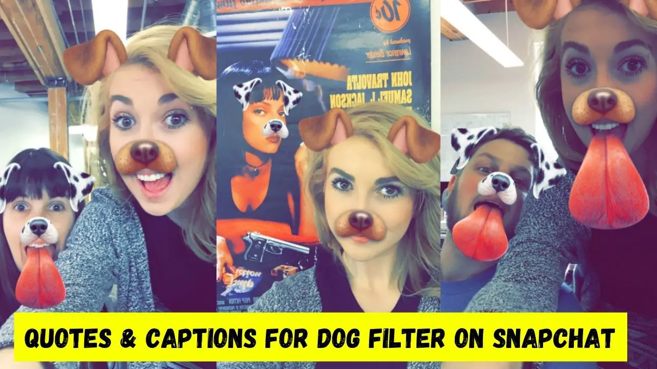 Quotes & Captions for Dog Filter on Snapchat