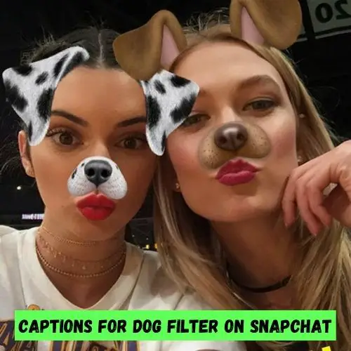 Captions for Dog Filter on Snapchat