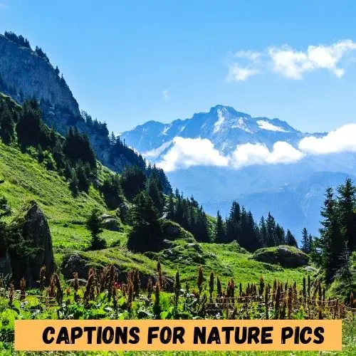 Captions for Nature Pics