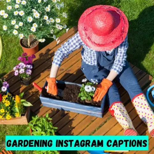 Gardening Instagram Captions