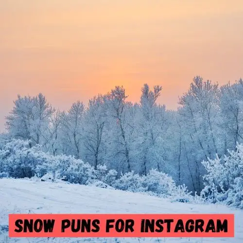 Snow Puns for Instagram