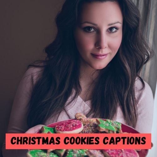 christmas cookies instagram caption