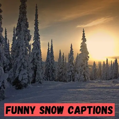 snow captions funny