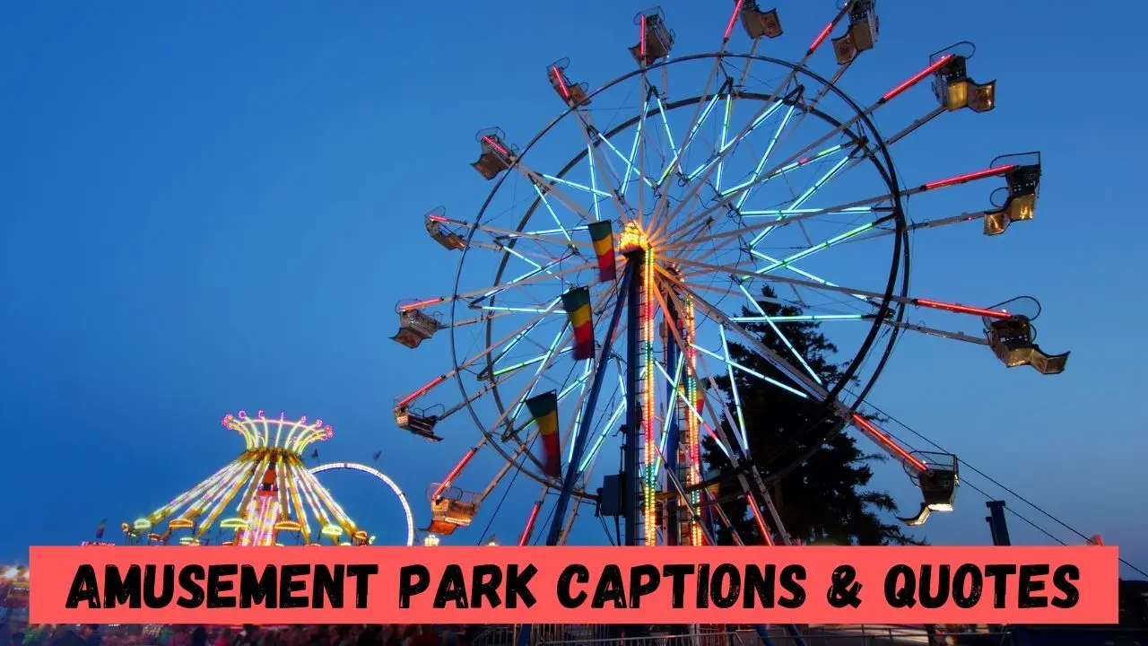 Amusement Park Captions & Quotes