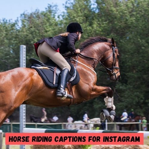 caption for horse riding