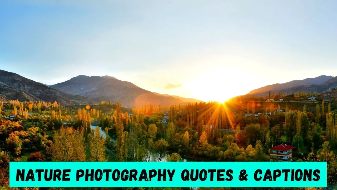 Nature Photography Quotes & Captions