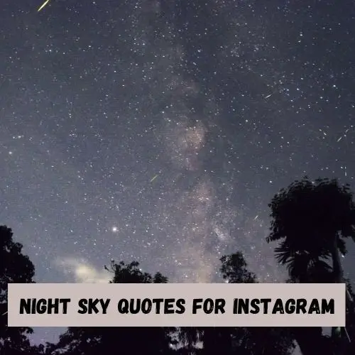 121+ Night Sky Quotes and Captions 1
