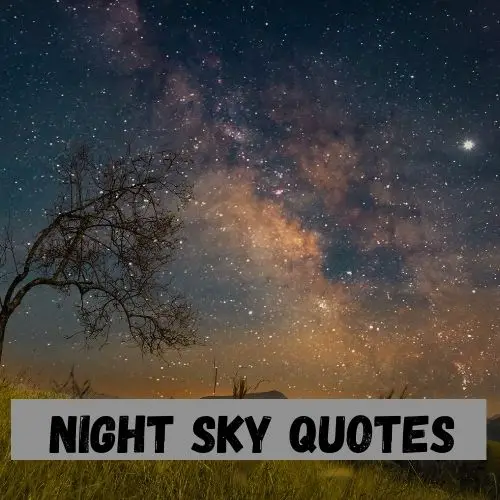 Night Sky Quotes
