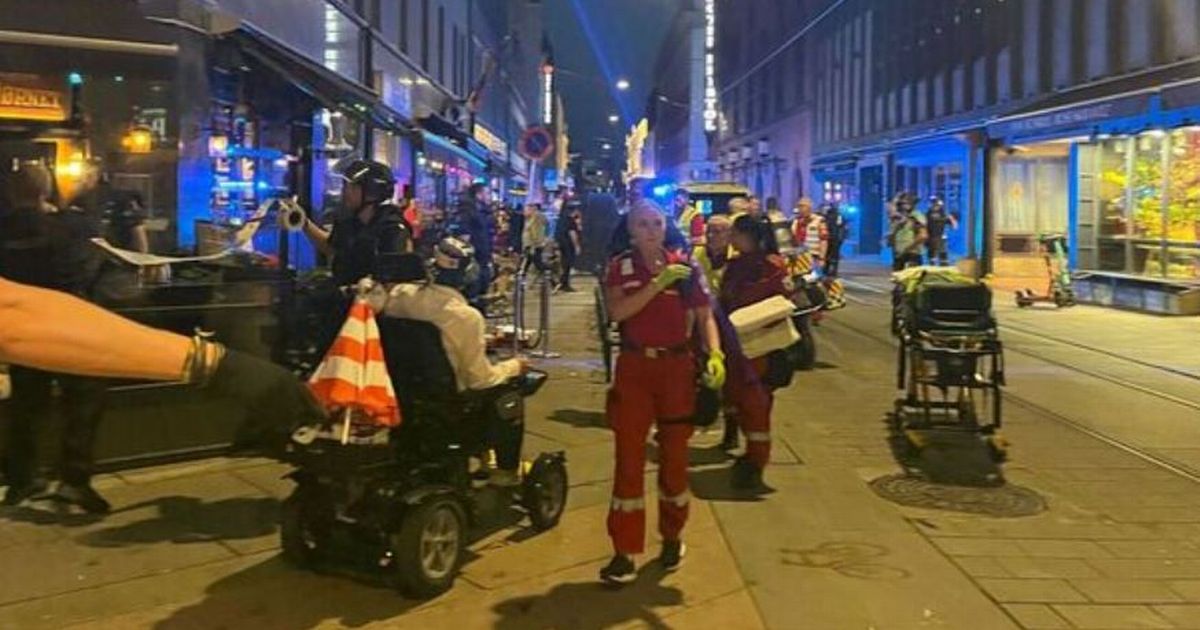 Oslo shooting: Reveller tells of 'playing dead' as gunman fired at her table sparking panic