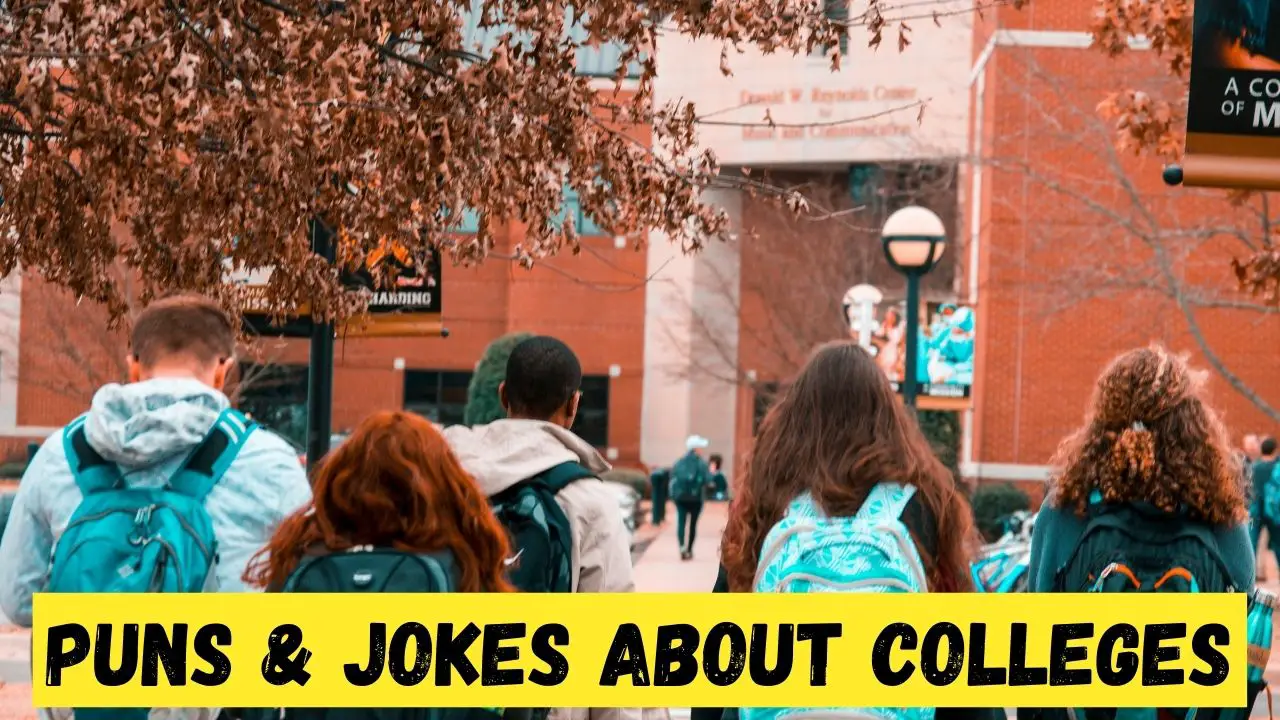 Puns & Jokes about Colleges