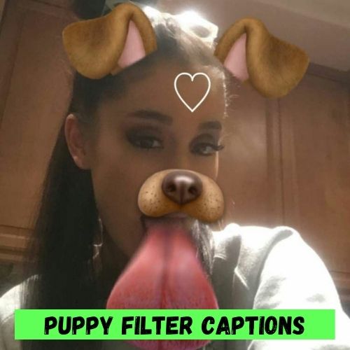 Puppy Filter Captions