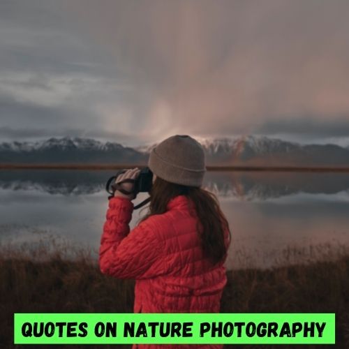 photographing nature quotes