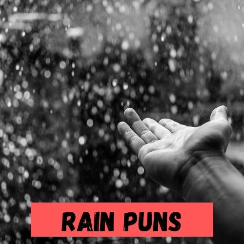 rain pun