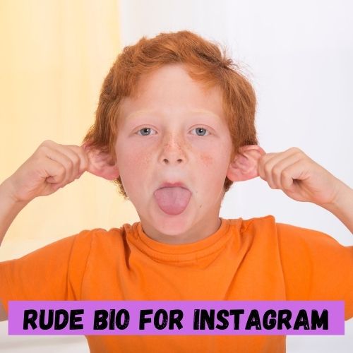 Rude Bio for Instagram