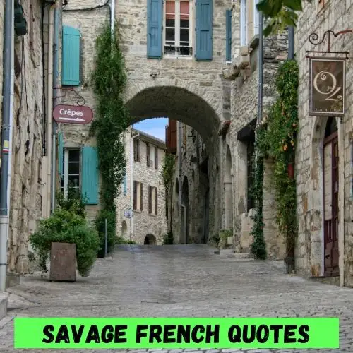 Savage French Quotes