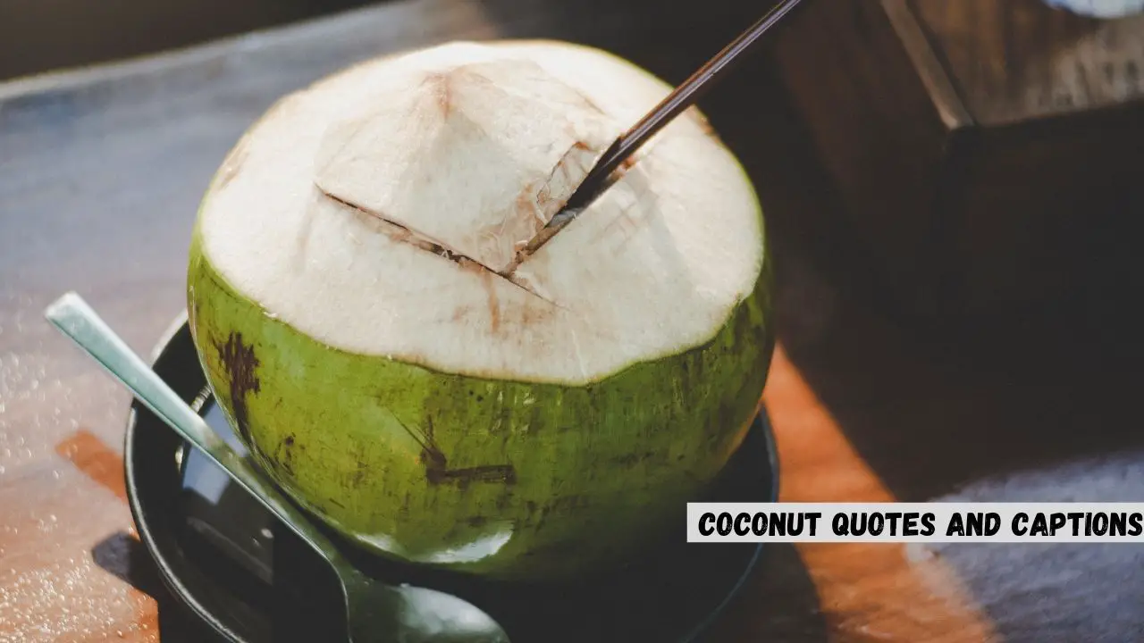 Coconut Quotes and Captions