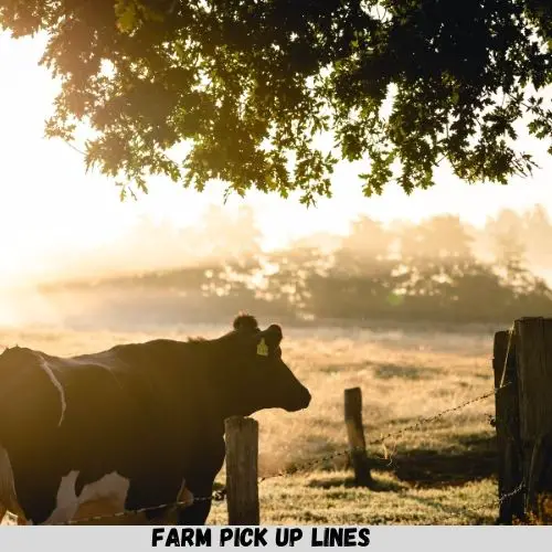 Farm Pick Up Lines