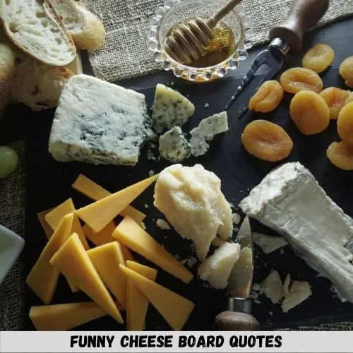 Funny Cheese Board Quotes