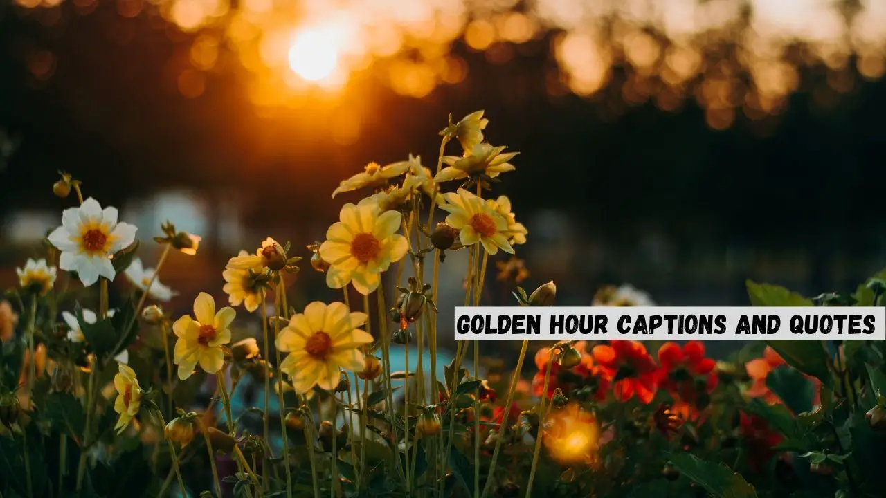 Golden Hour Captions and quotes