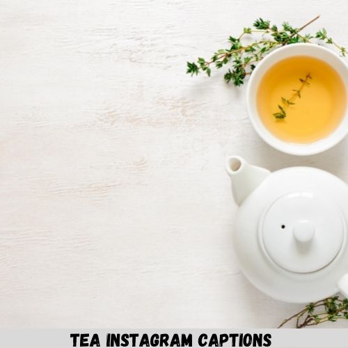 Tea Instagram Captions