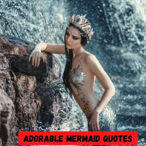 172+ Mermaid Quotes & Captions [Adorable/Funny/Deep] 2