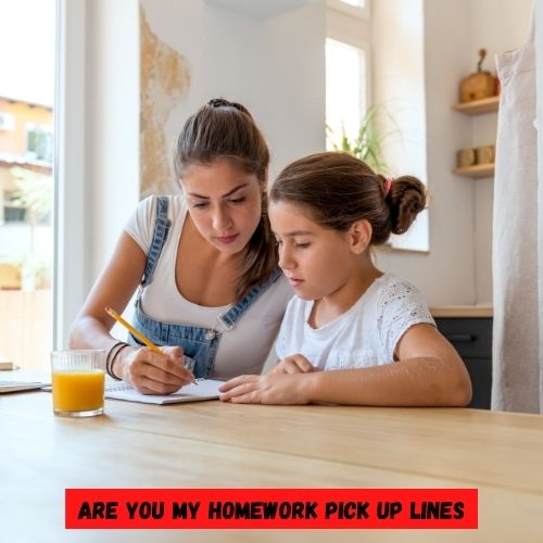 65+ Homework Pick up Lines 1