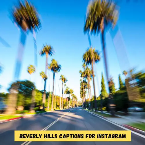 Beverly Hills Captions for Instagram