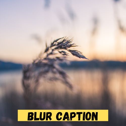 Blur Caption