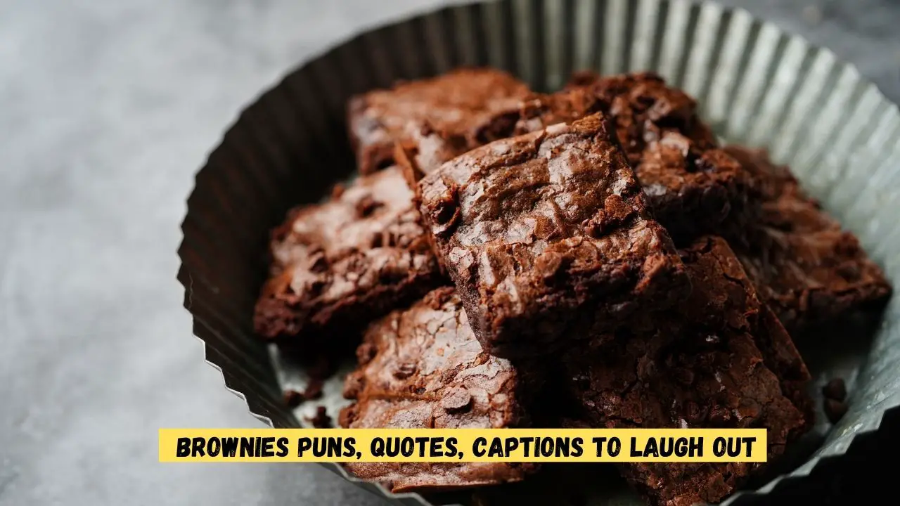 160+ Brownies Puns, Quotes, Captions to Laugh out