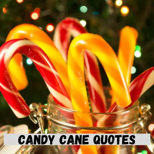 Candy Cane Quotes