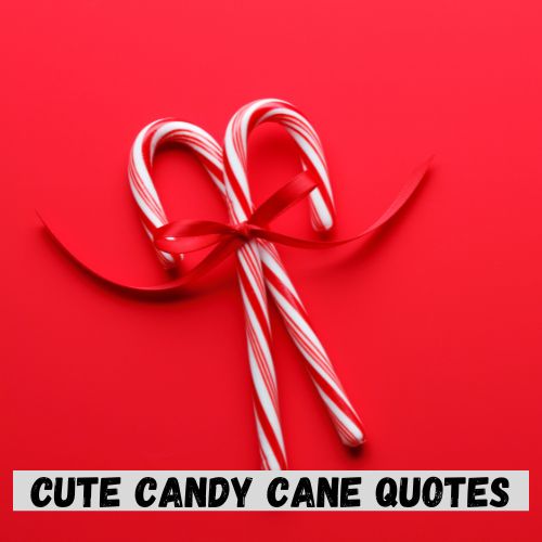 Cute Candy Cane Quotes