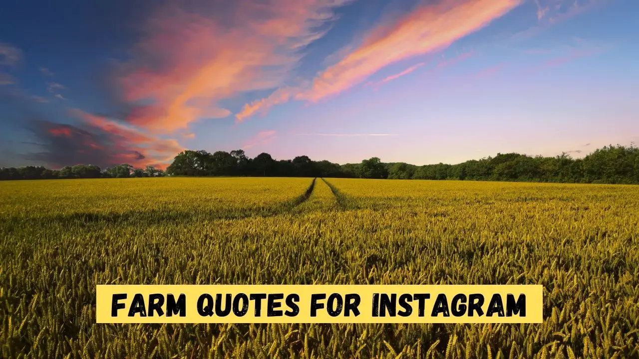 Farm Quotes for Instagram