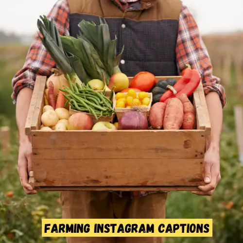 Farming Instagram Captions