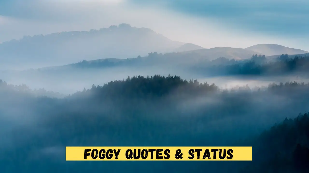 Foggy Quotes & Status