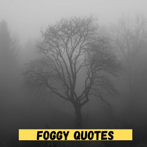 Foggy Quotes