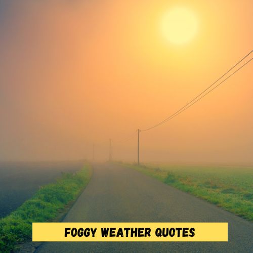 Foggy Weather Quotes