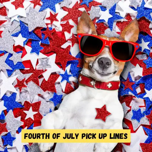 Fourth of July Pick up Lines