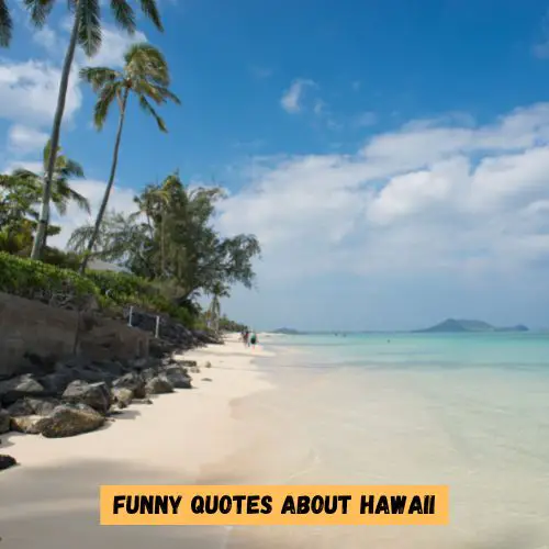 Funny Quotes about Hawaii