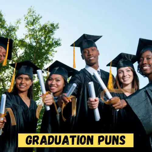 Graduation Puns